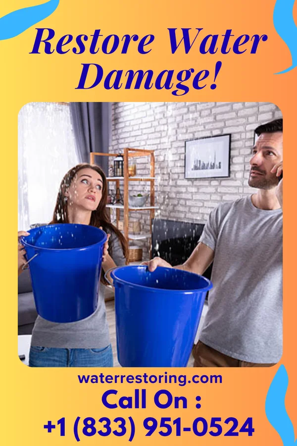 water restoration Diamond Water Cleanup Bellevue