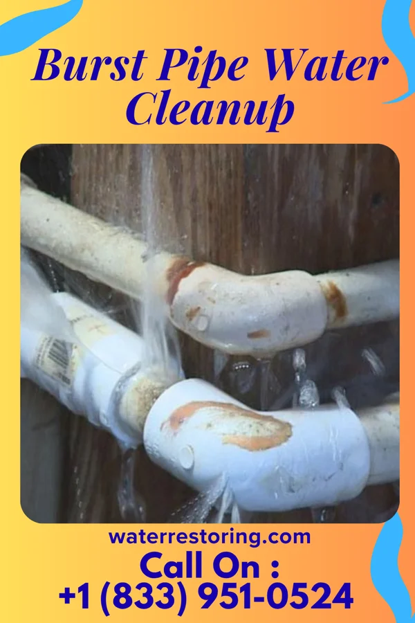 Burst Pipe Water Cleanup in Bellevue, OH
