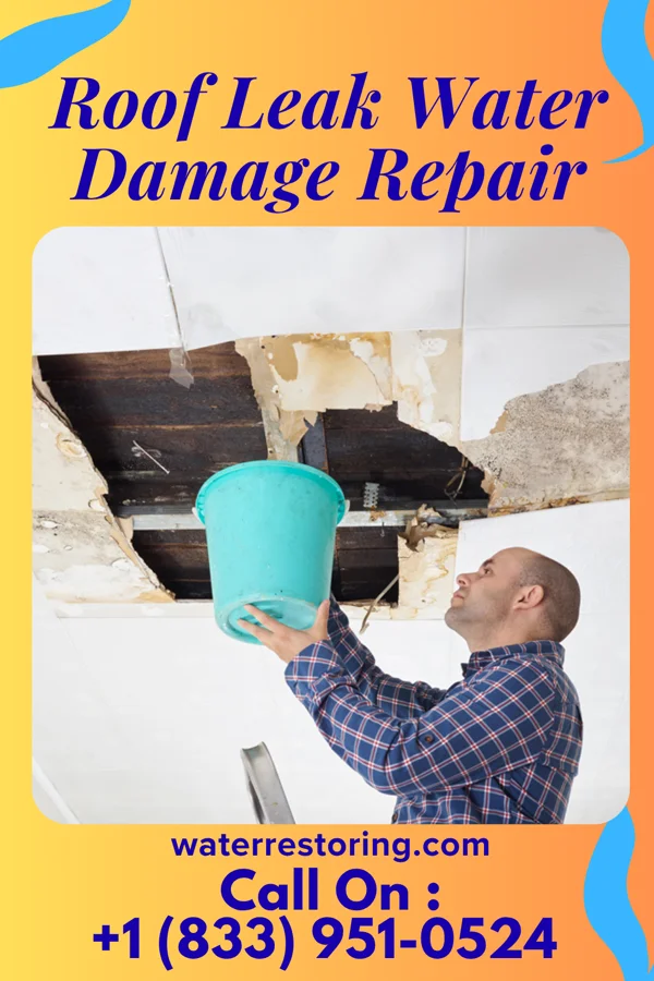 Roof Leak Water Damage Repair in Bellevue, OH