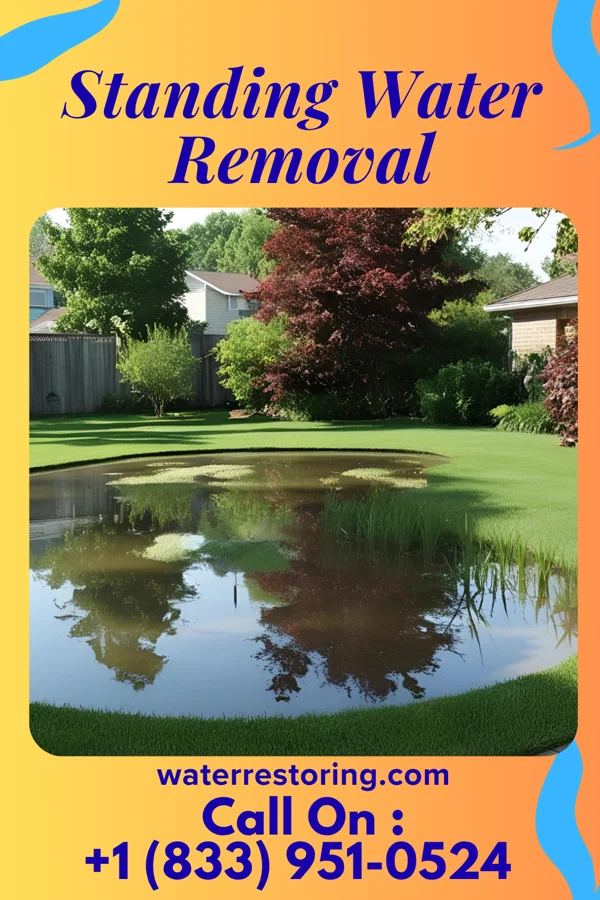 Standing Water Removal in Bellevue, OH